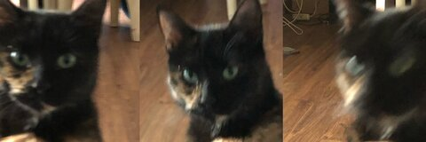 Free access to annalouie Leaked OnlyFans - fans4leak.com