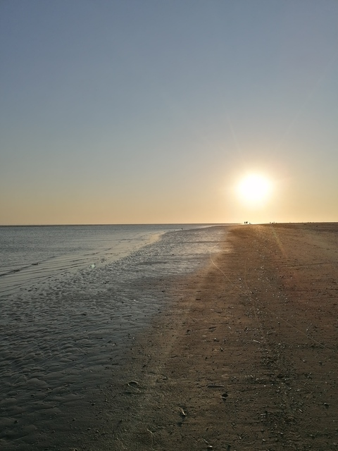 Header of annaschmidt