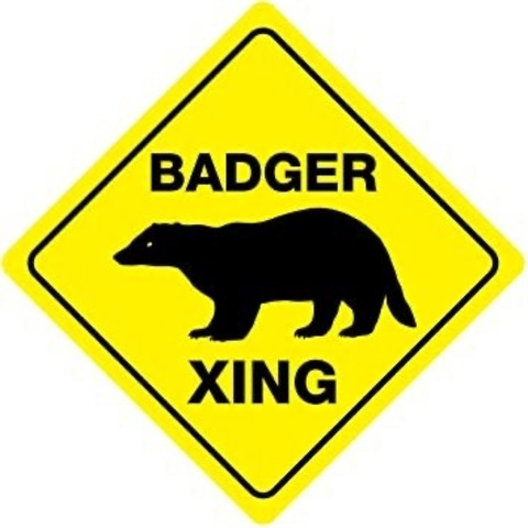 Download badgertexas OnlyFans content for free - fans4leak