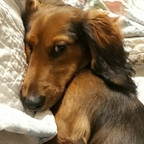 beach-life Profile Picture