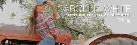 Header of carolinawhite