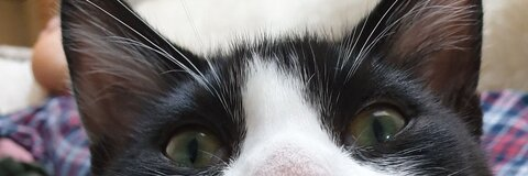 charlotte_here OnlyFans Leaks - fans4leak.com