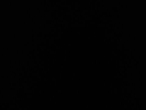 Header of donks
