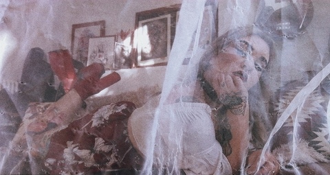 Header of fallonstar