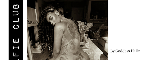 Header of hallehayes