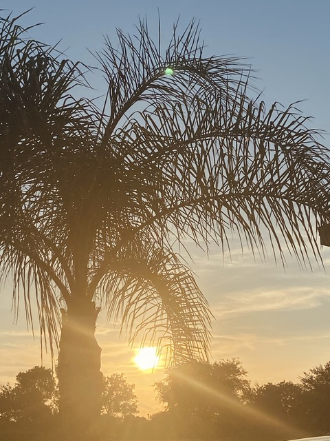 Header of hennessyboo