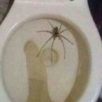 hot-n-heavy Profile Picture