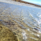 hotchileanwife Profile Picture