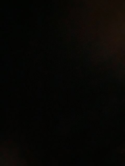 Header of isabellamya