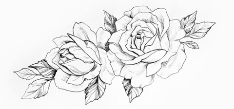 Header of linababe00