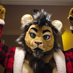 liondogari Profile Picture