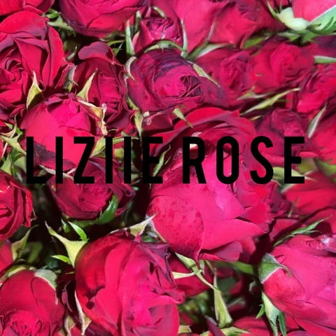 Header of liziierosex