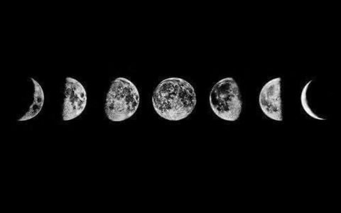 Header of lovely.d