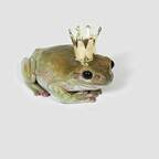 methylbutane Profile Picture