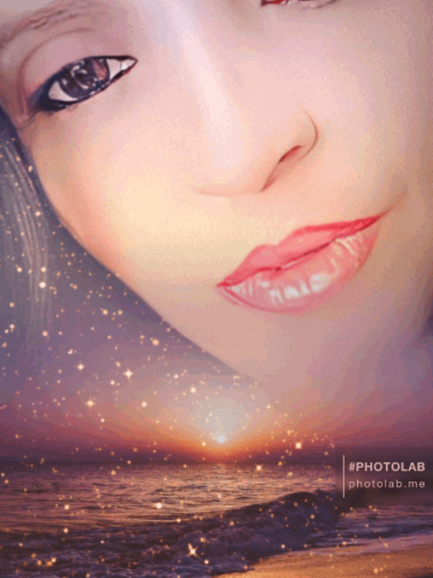 Header of mojaditax