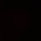 naturemithki Profile Picture