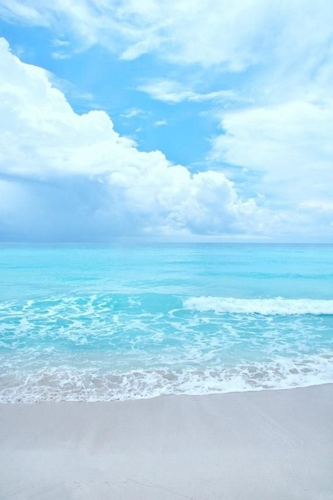 Header of only-stella