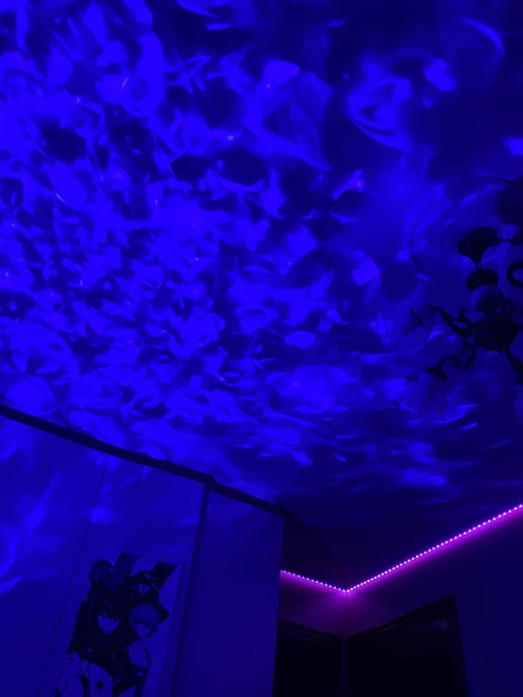 oreoconsushi (Oreoconsushi) free OnlyFans Leaked Pictures & Videos - fans4leak.com