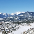 peggingcats Profile Picture