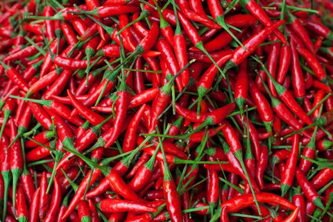 Header of pepperflavor