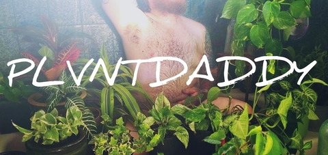 Header of plvntdaddy