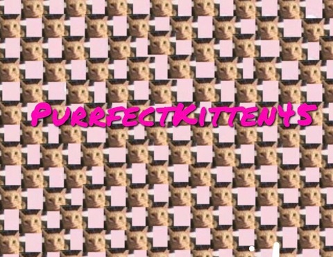 Header of purrfectkitten45