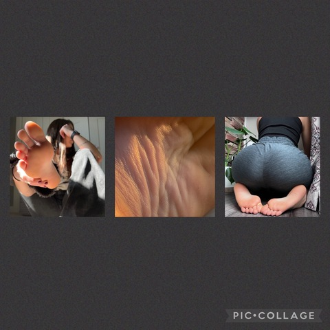 Header of rosiesoles