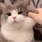 satancake Profile Picture