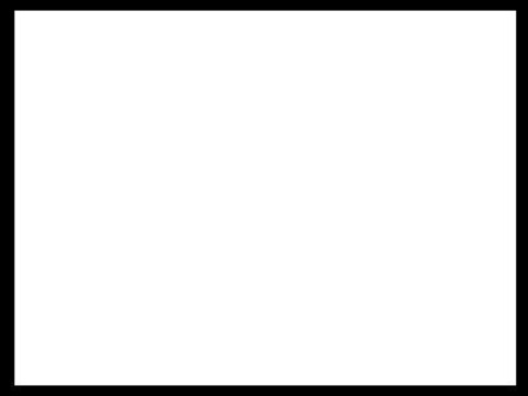 Header of scarlett-88