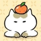 suzanfisch Profile Picture