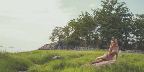 Header of thepuritypixel