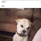 twinklethefairy Profile Picture