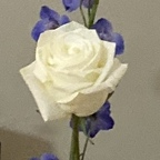 u120566977 Profile Picture