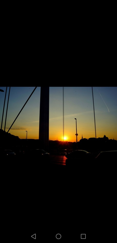 Header of u225497504