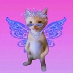 veronicanickson Profile Picture
