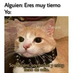 waitress Profile Picture