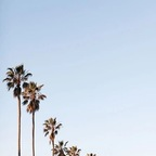 wives Profile Picture