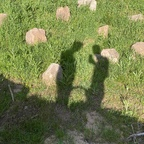 wolf_cpl Profile Picture